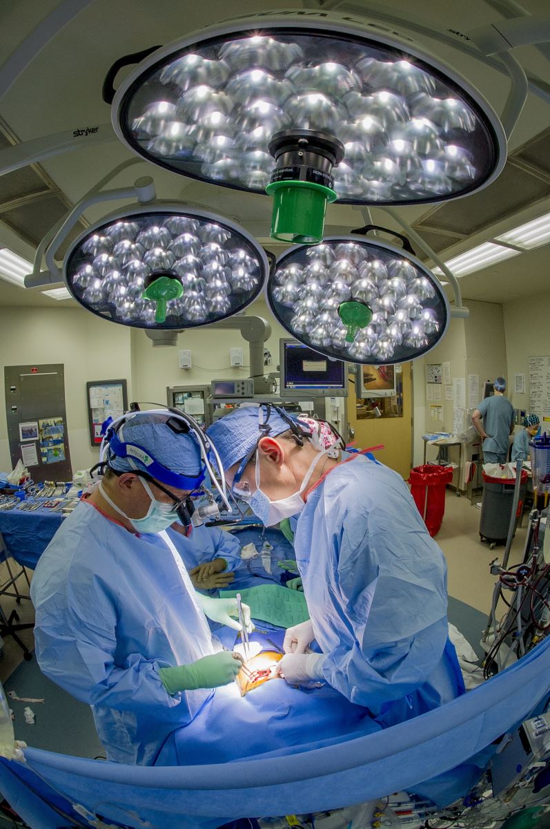 pediatric cardiologists performing heart care surgery