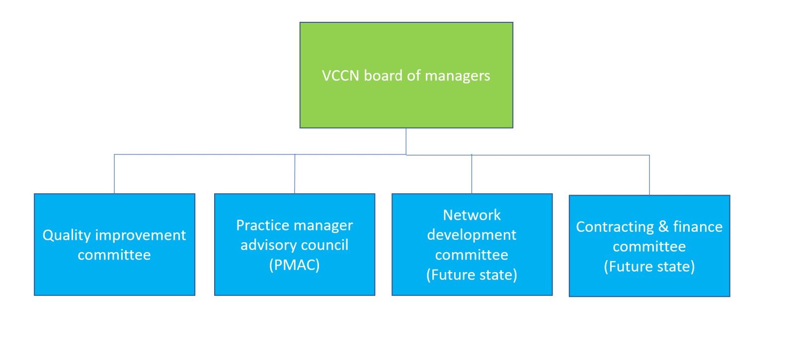 VCCN CIN organization chart