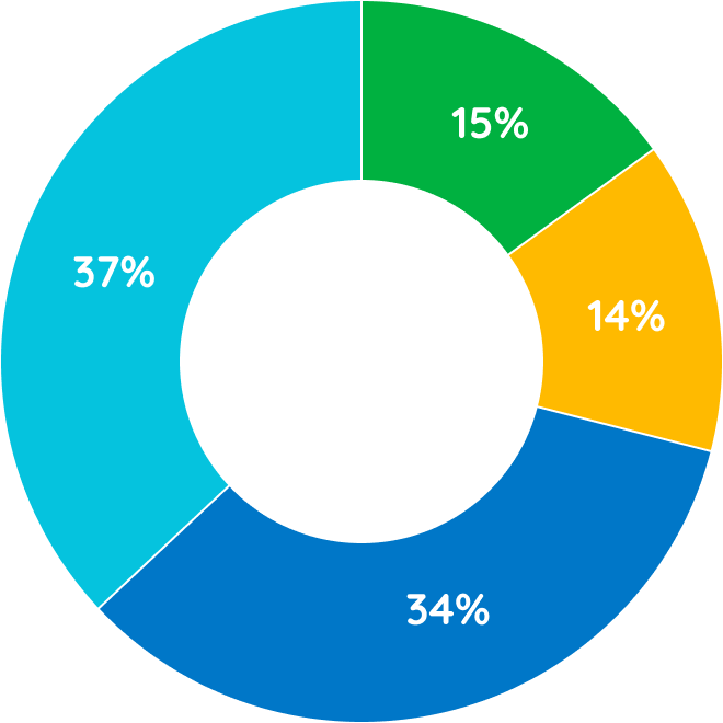 Pie chart of financials